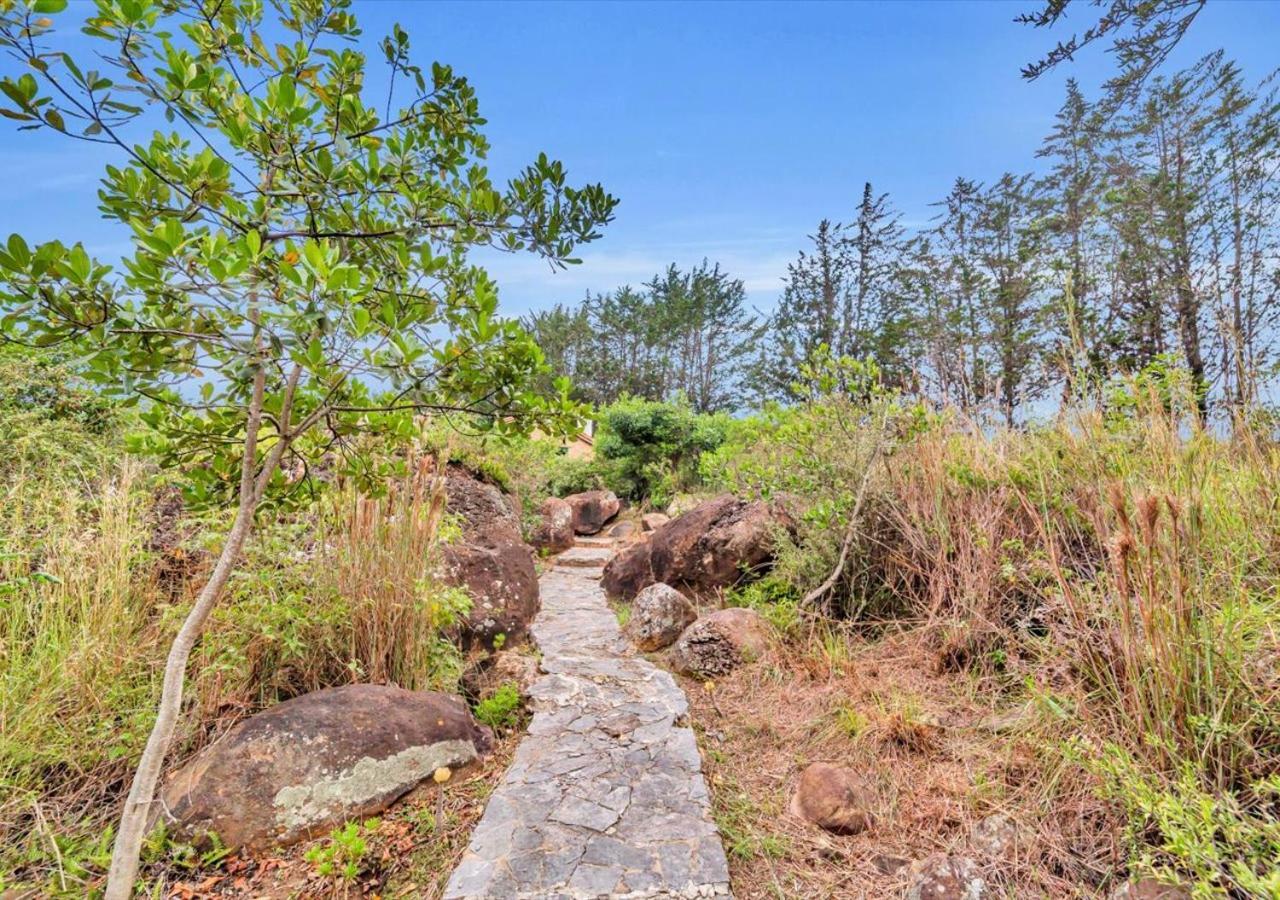 فيلا دي ليفا El Hayuelo Ecolodge المظهر الخارجي الصورة