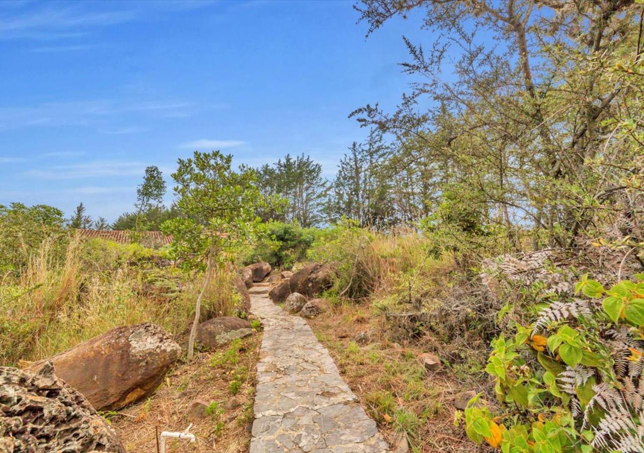 فيلا دي ليفا El Hayuelo Ecolodge المظهر الخارجي الصورة