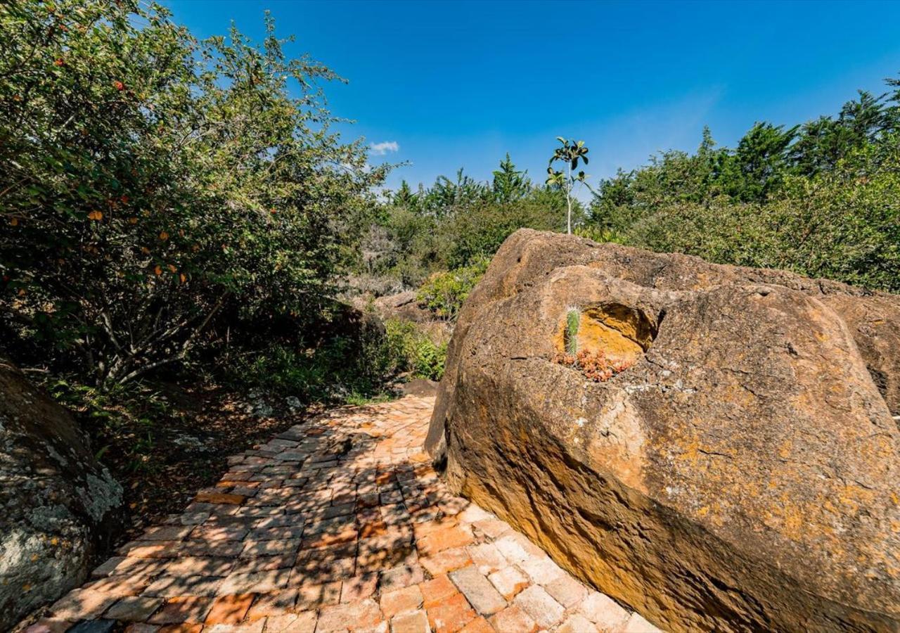 فيلا دي ليفا El Hayuelo Ecolodge المظهر الخارجي الصورة