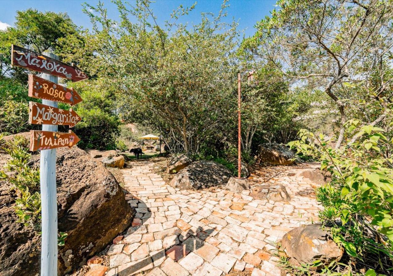 فيلا دي ليفا El Hayuelo Ecolodge المظهر الخارجي الصورة