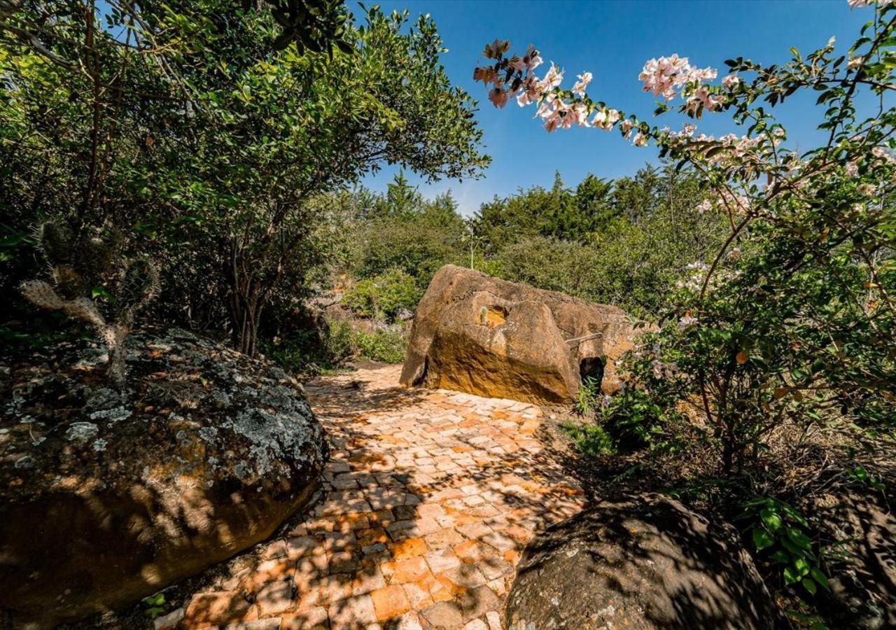 فيلا دي ليفا El Hayuelo Ecolodge المظهر الخارجي الصورة