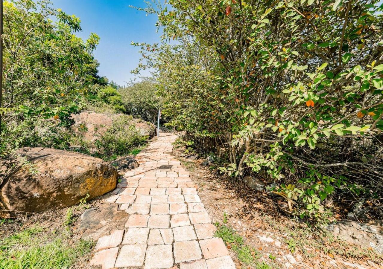 فيلا دي ليفا El Hayuelo Ecolodge المظهر الخارجي الصورة